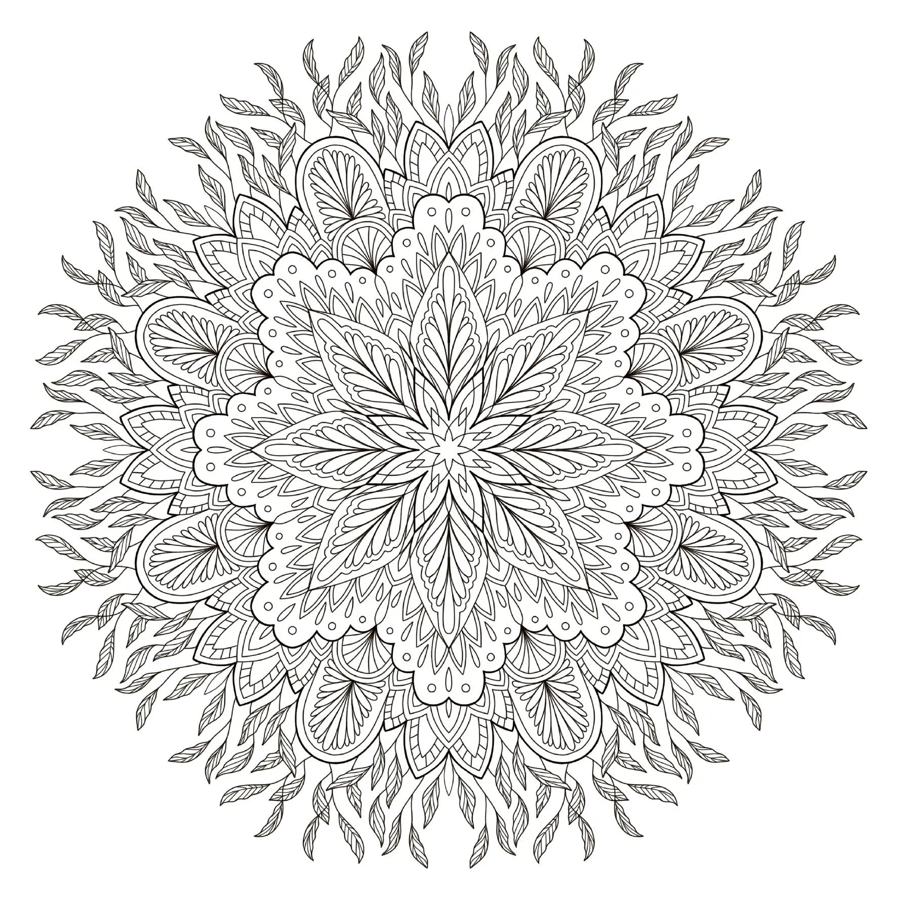 Bild: 9783735881526 | Colorful World - Kraftvolle Mandalas | Ausmalen &amp; entspannen | Buch