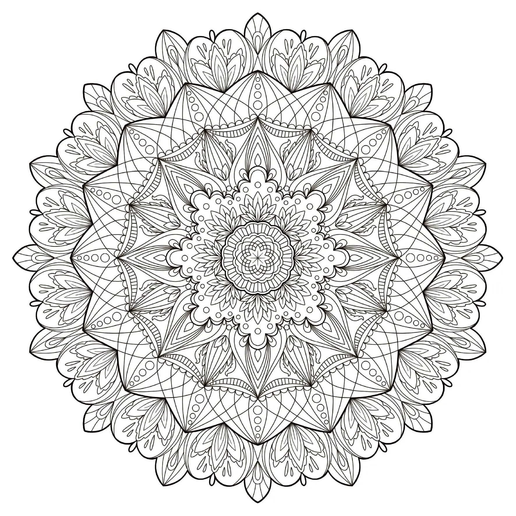 Bild: 9783735881526 | Colorful World - Kraftvolle Mandalas | Ausmalen &amp; entspannen | Buch