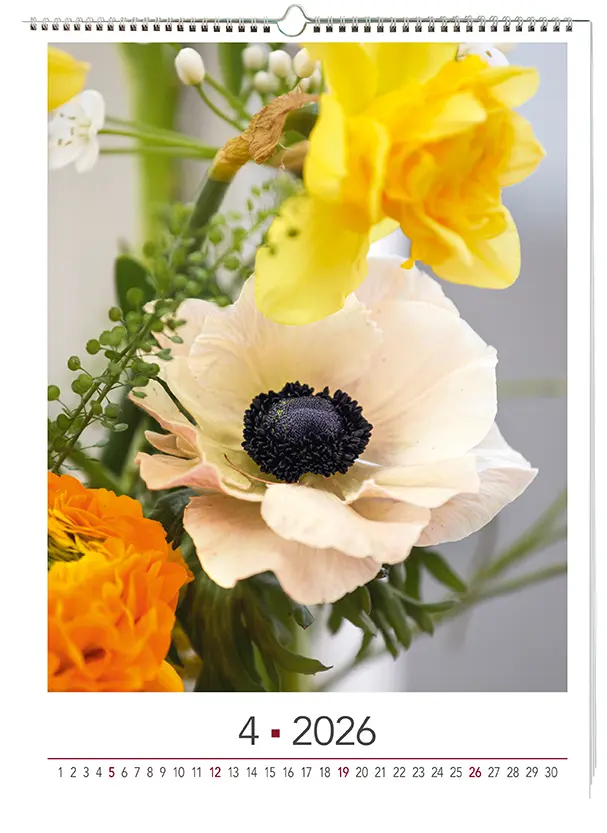 Bild: 9783965631526 | Blühende Momente 2026 | BLOOM's Wandkalender | Team BLOOM's | Kalender