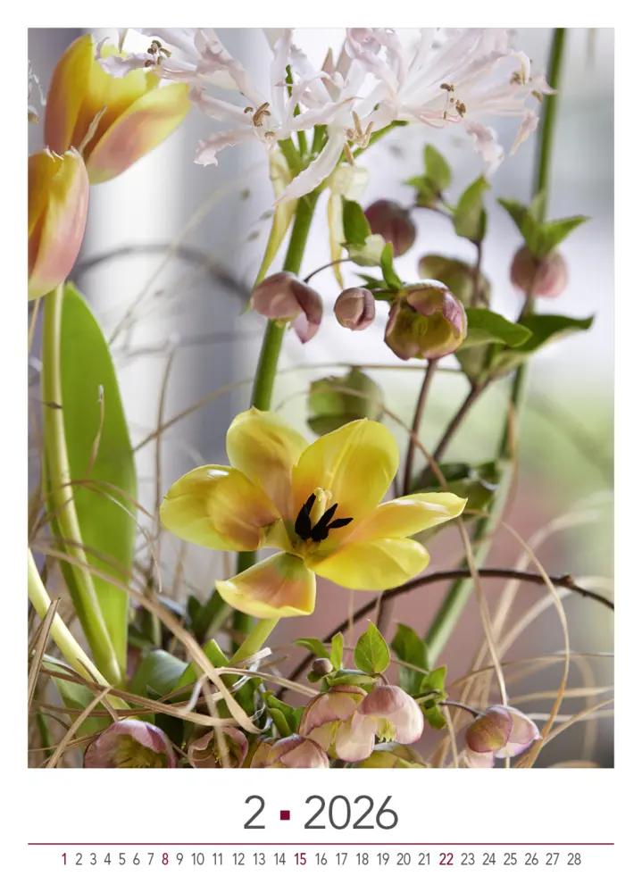Bild: 9783965631526 | Blühende Momente 2026 | BLOOM's Wandkalender | Team BLOOM's | Kalender