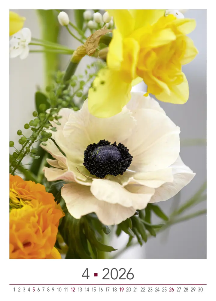 Bild: 9783965631526 | Blühende Momente 2026 | BLOOM's Wandkalender | Team BLOOM's | Kalender