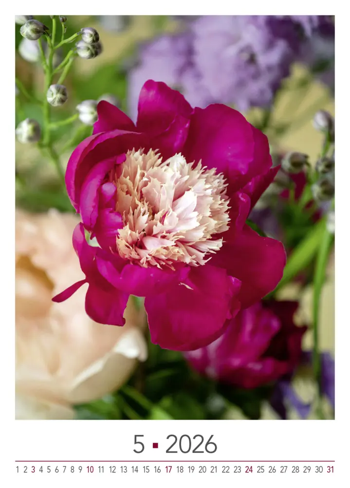 Bild: 9783965631526 | Blühende Momente 2026 | BLOOM's Wandkalender | Team BLOOM's | Kalender