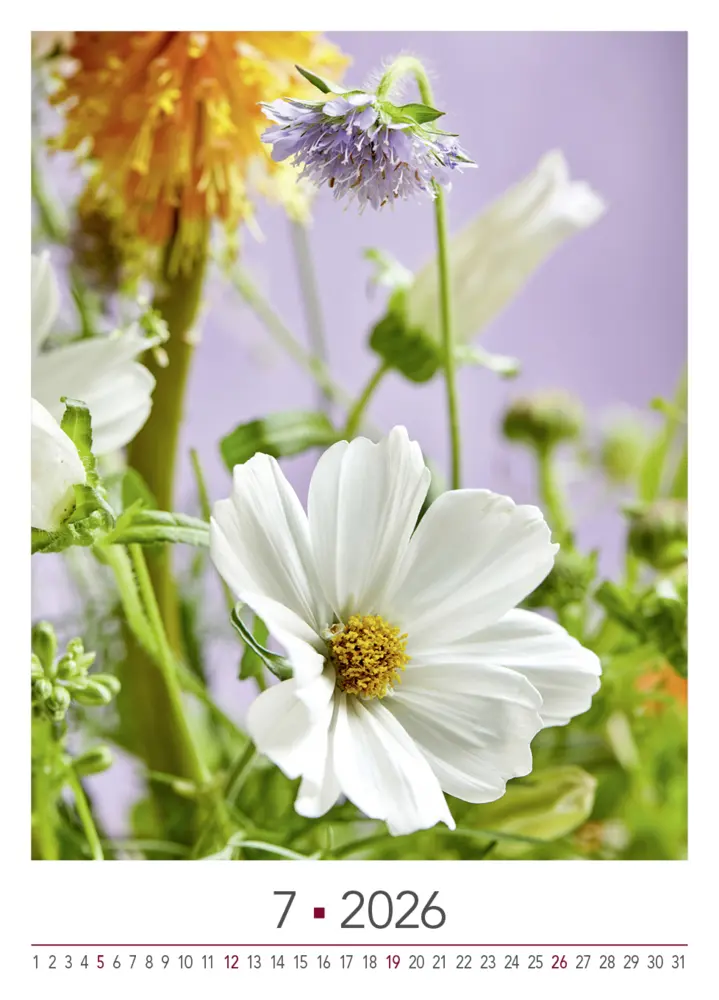 Bild: 9783965631526 | Blühende Momente 2026 | BLOOM's Wandkalender | Team BLOOM's | Kalender