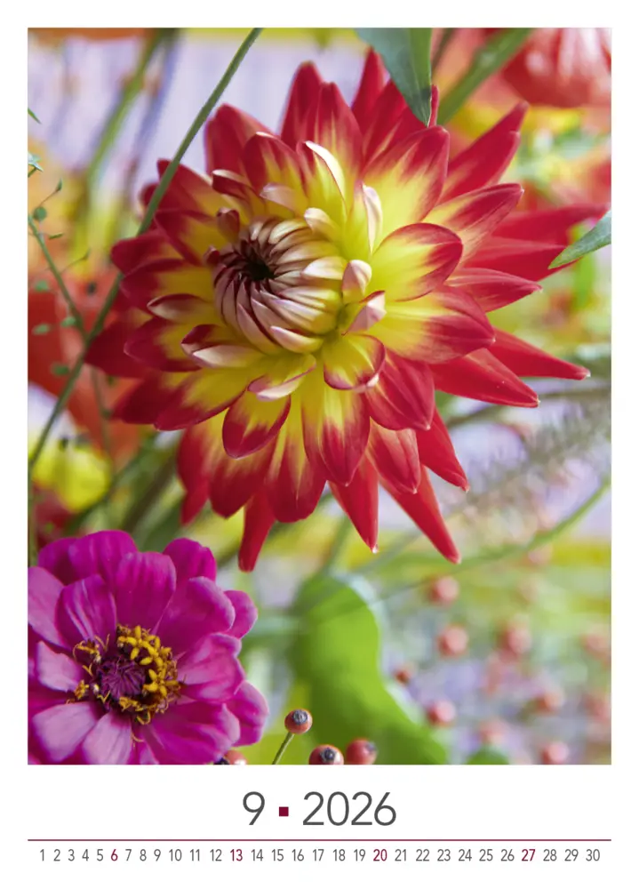 Bild: 9783965631526 | Blühende Momente 2026 | BLOOM's Wandkalender | Team BLOOM's | Kalender