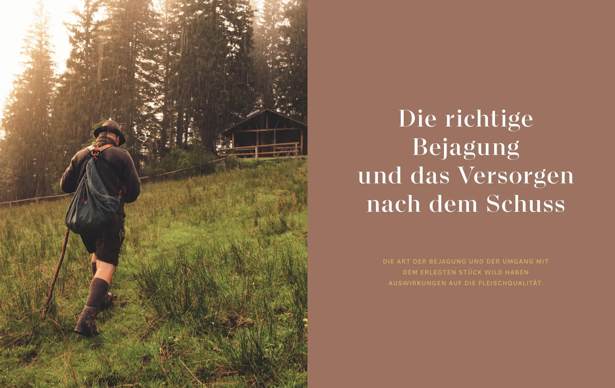 Bild: 9783967471526 | Das Geheimnis des Schweizer Schnitts | Karl Schmid | Buch | 216 S.