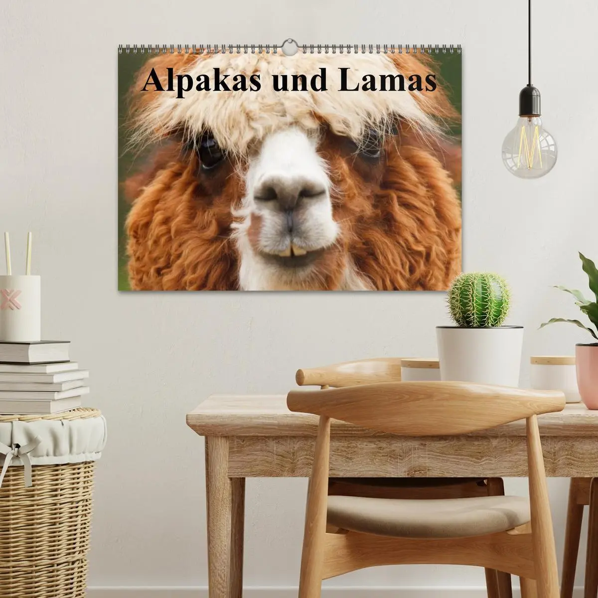 Bild: 9783516221626 | Alpakas und Lamas (Wandkalender 2026 DIN A3 quer), CALVENDO...