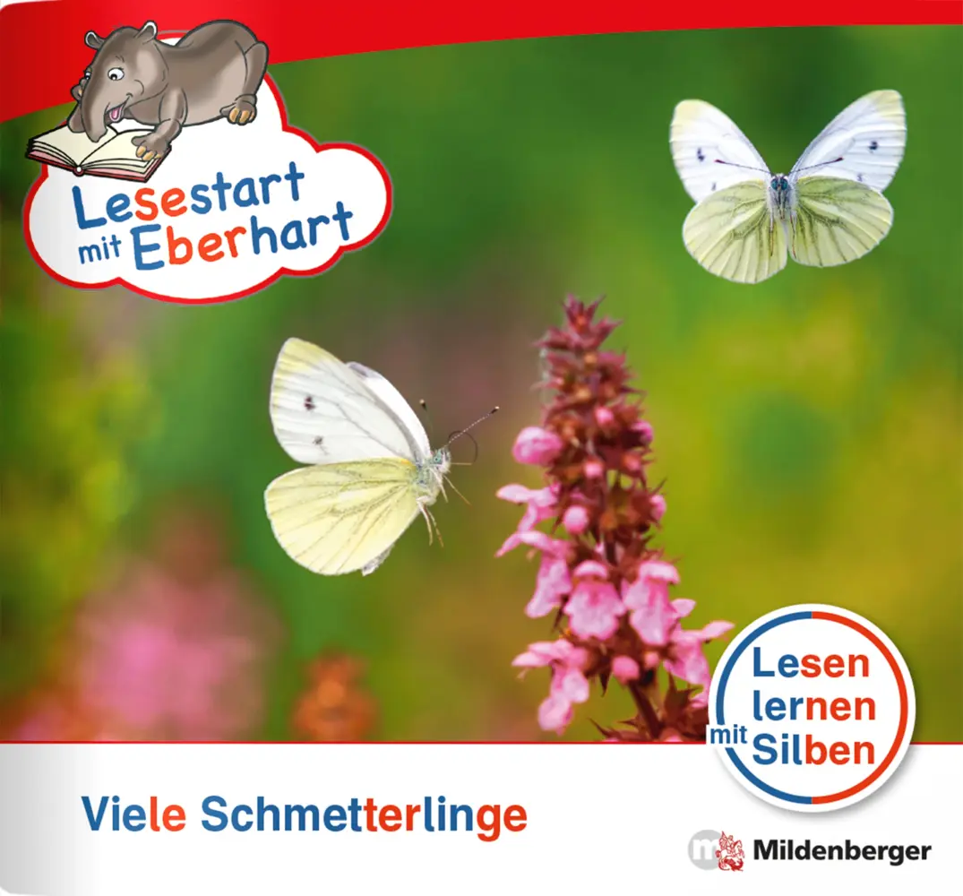 Cover: 9783619041626 | Lesestart mit Eberhart: Viele Schmetterlinge | Drecktrah (u. a.)
