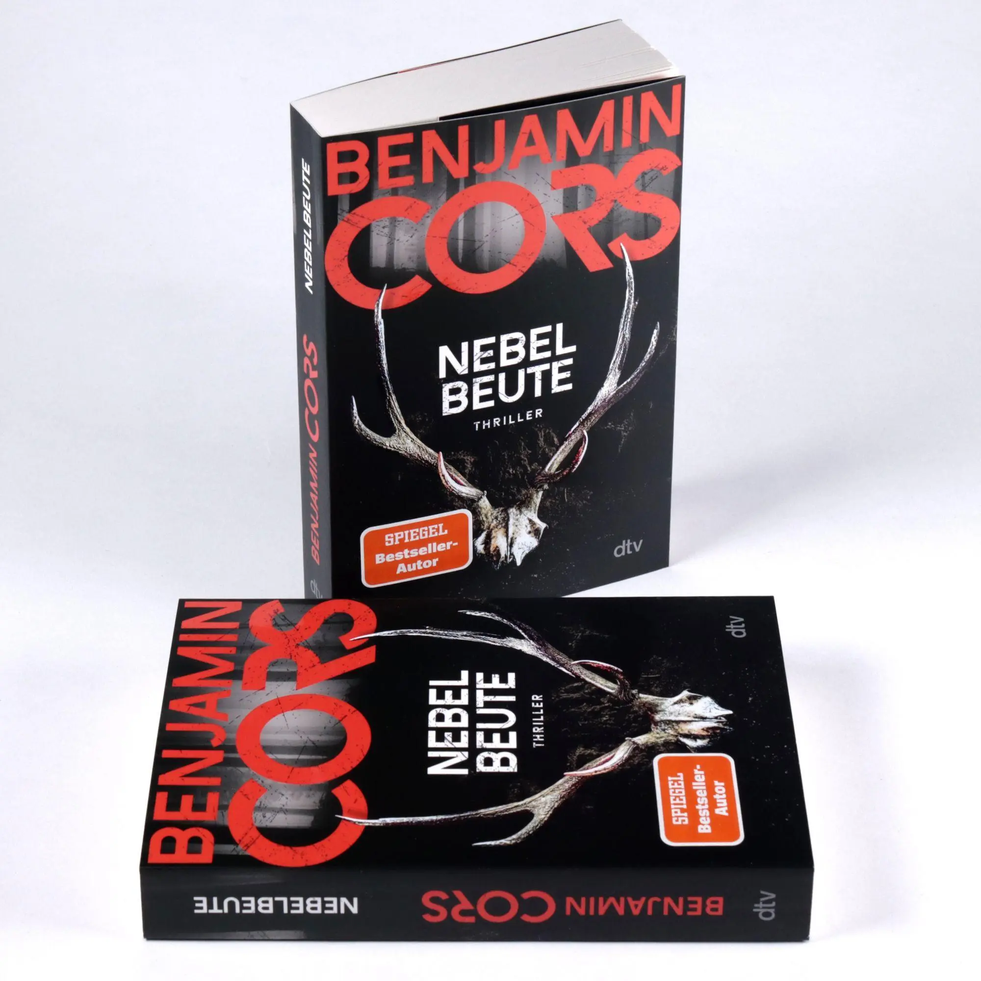 Bild: 9783423221726 | Nebelbeute | Thriller | Benjamin Cors | Taschenbuch | 384 S. | Deutsch