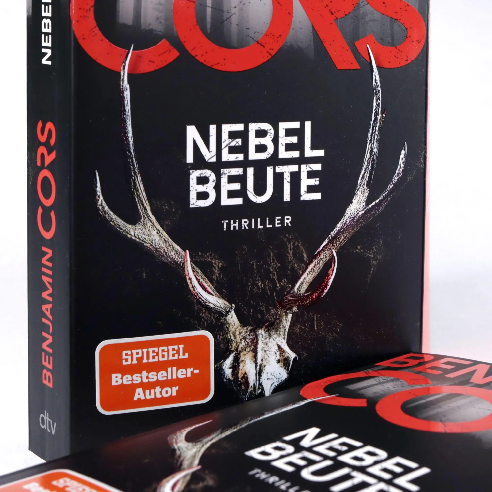 Bild: 9783423221726 | Nebelbeute | Thriller | Benjamin Cors | Taschenbuch | 384 S. | Deutsch