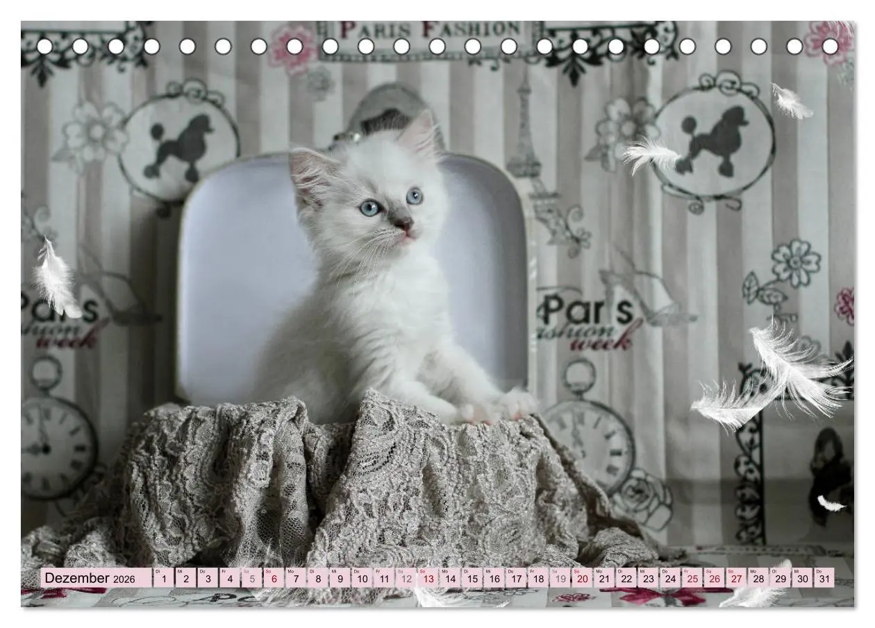 Bild: 9783457811726 | RAGDOLLS Impressionen aus der Kinderstube (Tischkalender 2026 DIN...