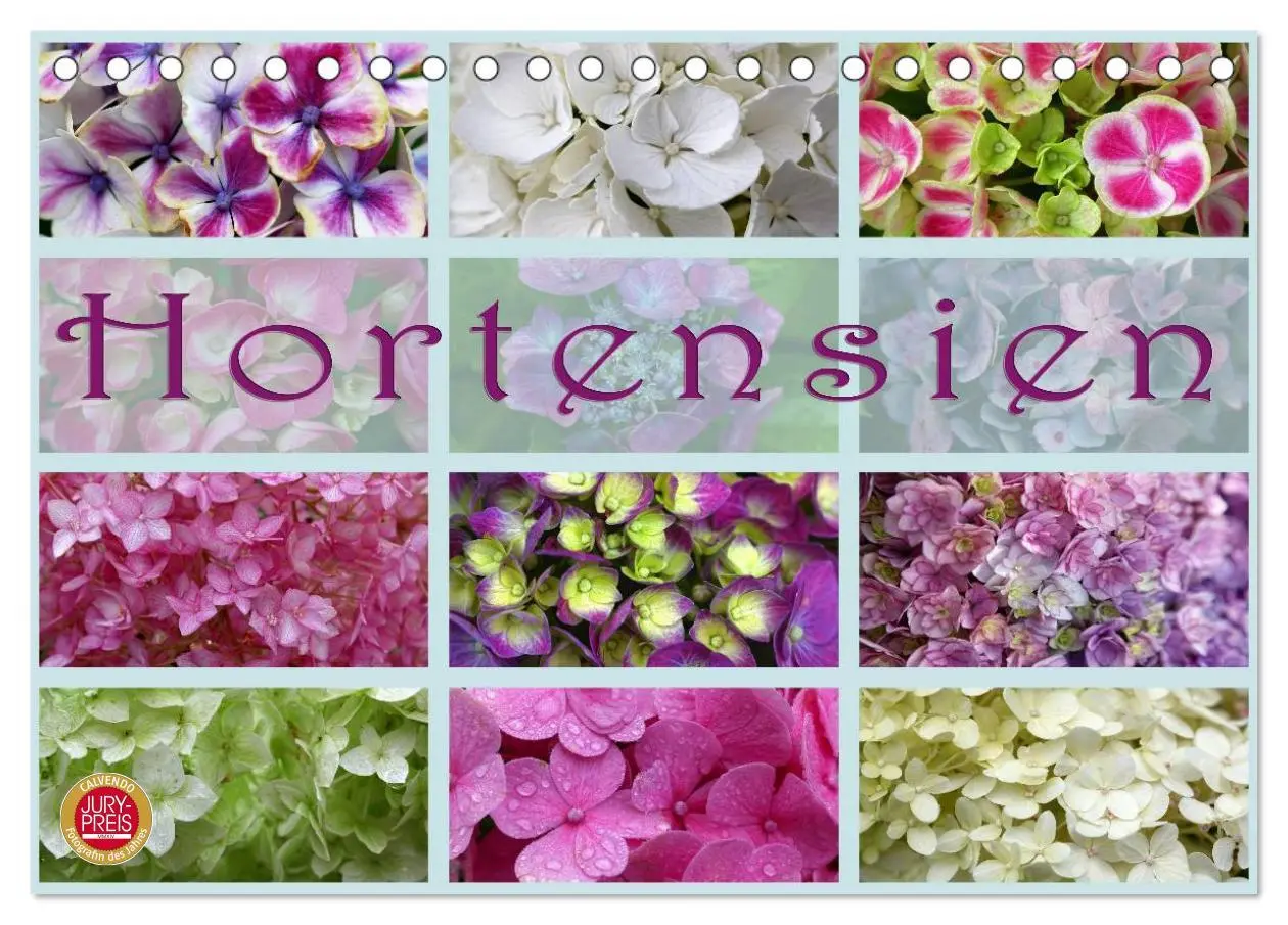 Cover: 9783516141726 | Hortensien / Geburtstagskalender (Tischkalender 2026 DIN A5 quer),...