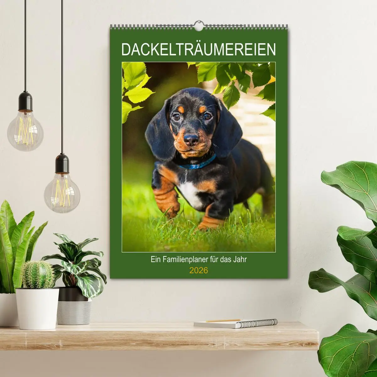 Bild: 9783516381726 | Dackelträume - Ein Familienplaner für das Jahr (Wandkalender 2026...