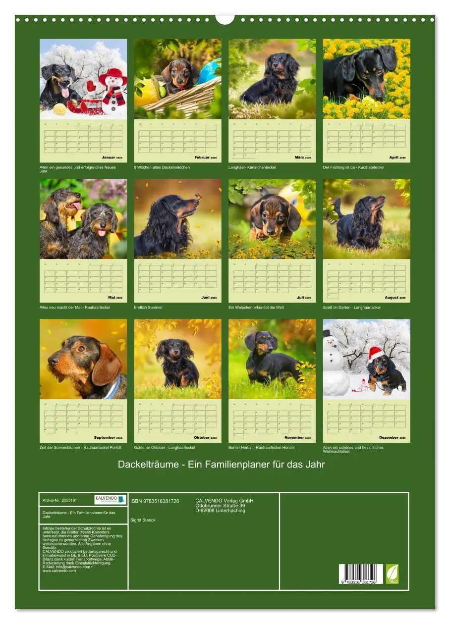 Bild: 9783516381726 | Dackelträume - Ein Familienplaner für das Jahr (Wandkalender 2026...