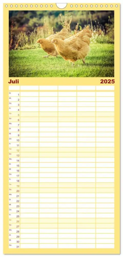 Bild: 9783457111826 | Familienplaner 2025 - Hühner in meinem Garten mit 5 Spalten...