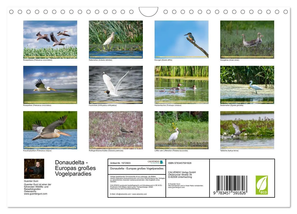 Bild: 9783457591826 | Donaudelta - Europas großes Vogelparadies (Wandkalender 2026 DIN A4...