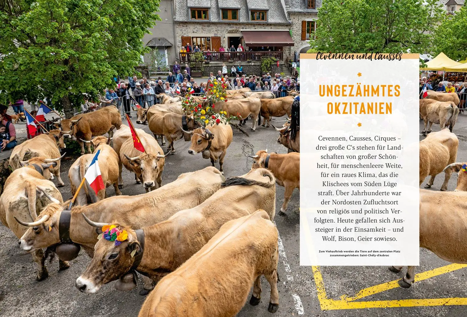 Bild: 9783770191826 | DUMONT Bildatlas Frankreich Südwesten, Okzitanien | Klaus Simon | Buch