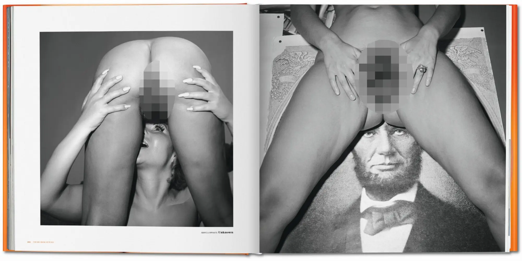 Bild: 9783836521826 | The Big Book of Pussy | Dian Hanson | Buch | 372 S. | Deutsch | 2011
