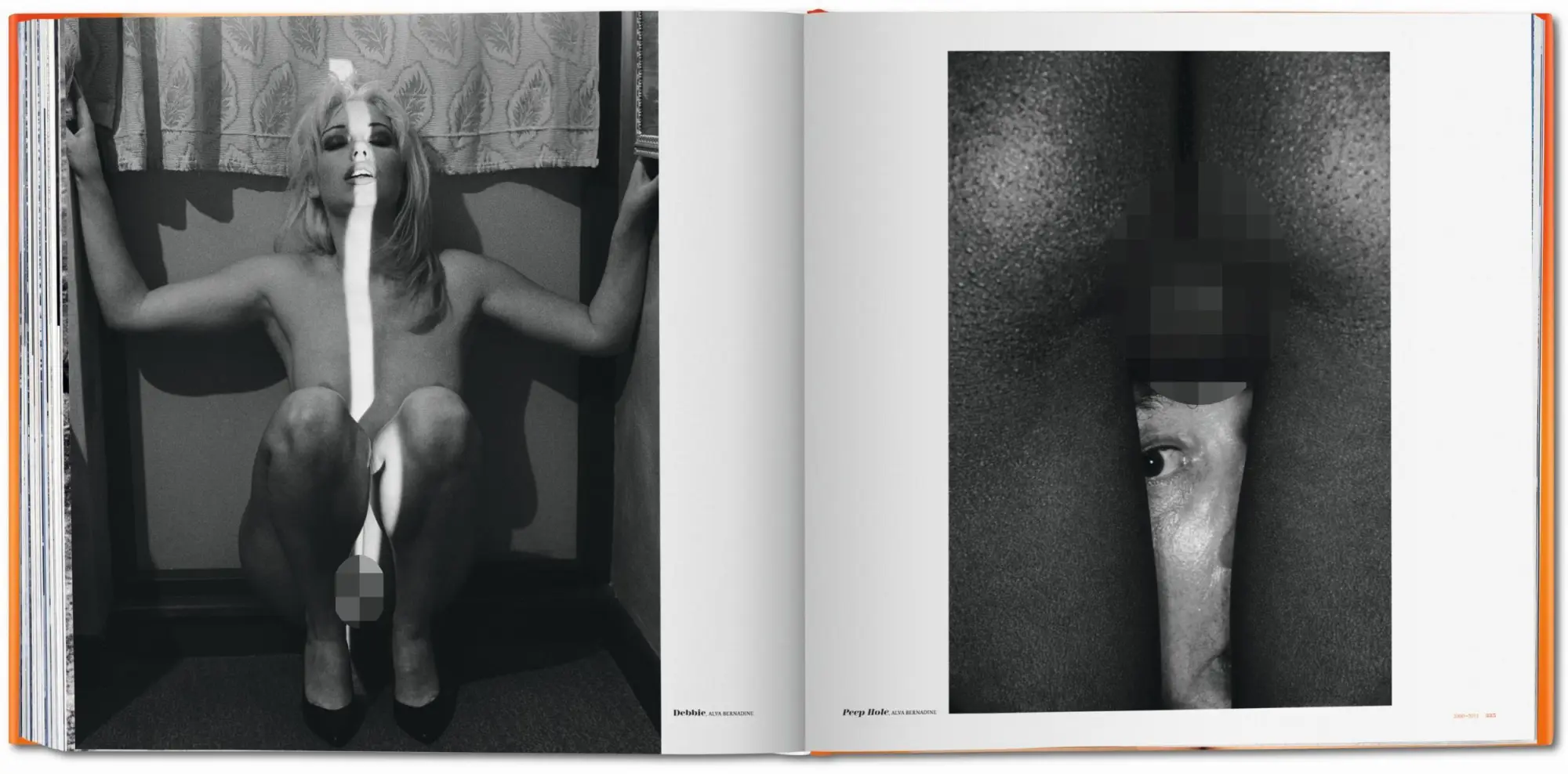 Bild: 9783836521826 | The Big Book of Pussy | Dian Hanson | Buch | 372 S. | Deutsch | 2011