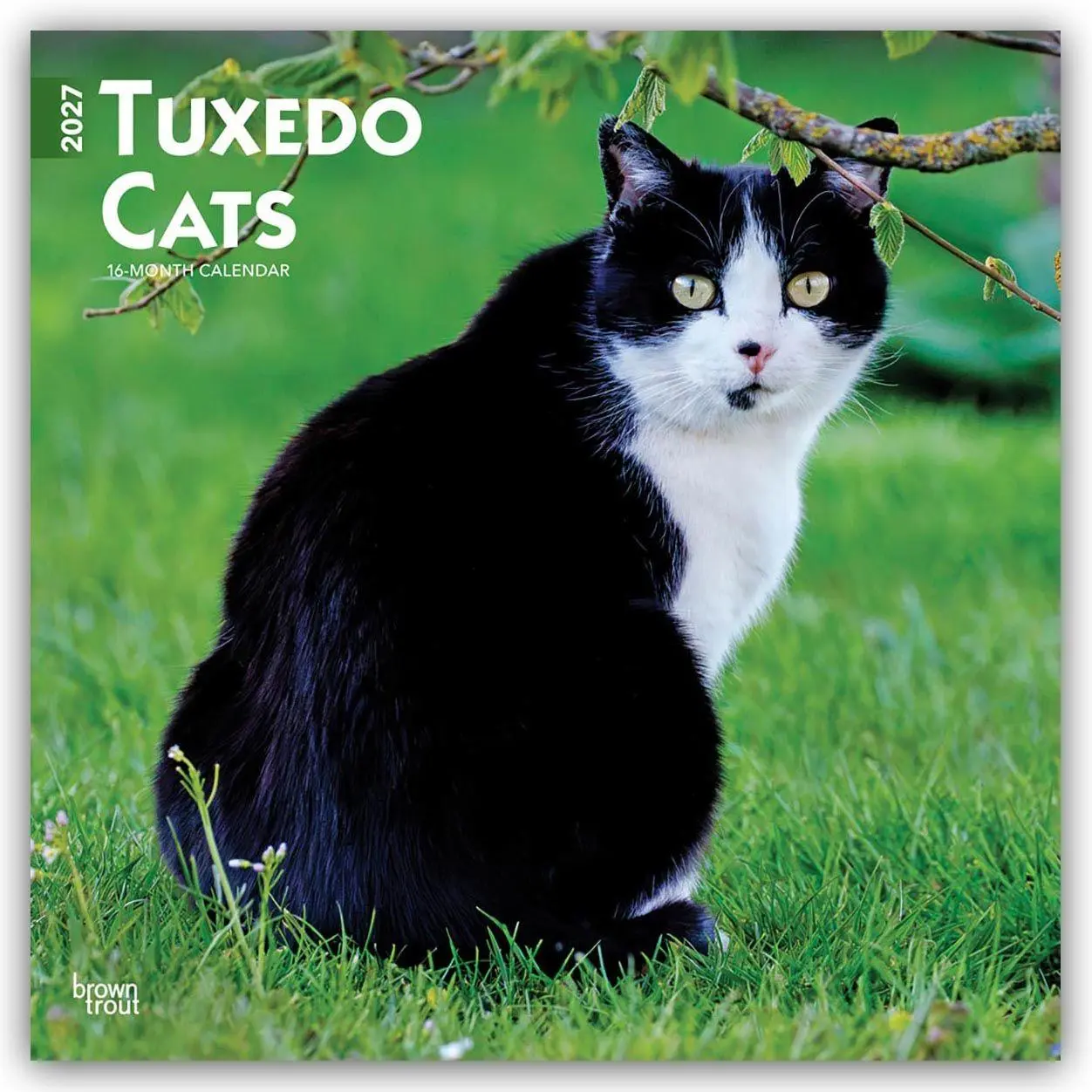 Cover: 9798330711826 | Tuxedo Cats - Tuxedo Katzen 2027 - 16-Monatskalender | Publishers