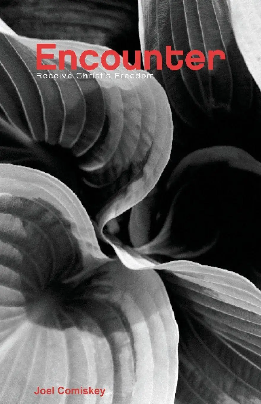 Cover: 9780975581926 | Encounter | Receive Christ's Freedom | Joel T Comiskey | Taschenbuch