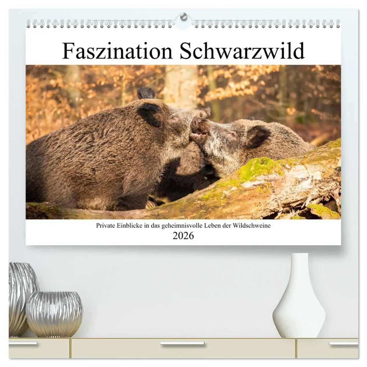 Cover: 9783457651926 | Faszination Schwarzwild (hochwertiger Premium Wandkalender 2026 DIN...