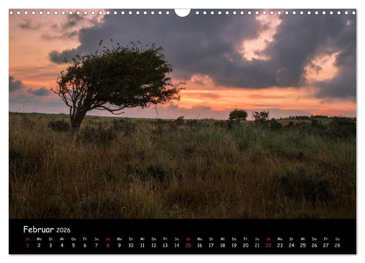 Bild: 9783516121926 | Unterwegs in Dänemark (Wandkalender 2026 DIN A3 quer), CALVENDO...