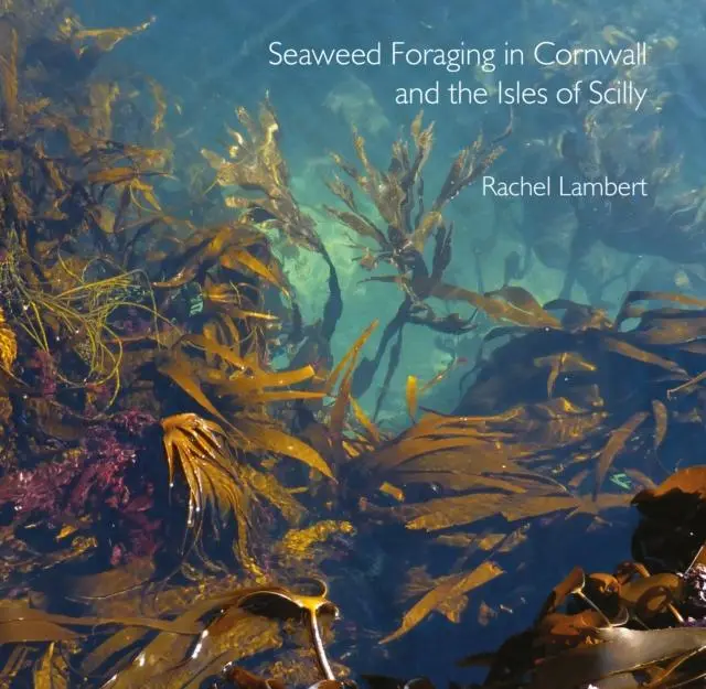 Cover: 9780850252026 | Seaweed Foraging in Cornwall and the Isles of Scilly | Taschenbuch