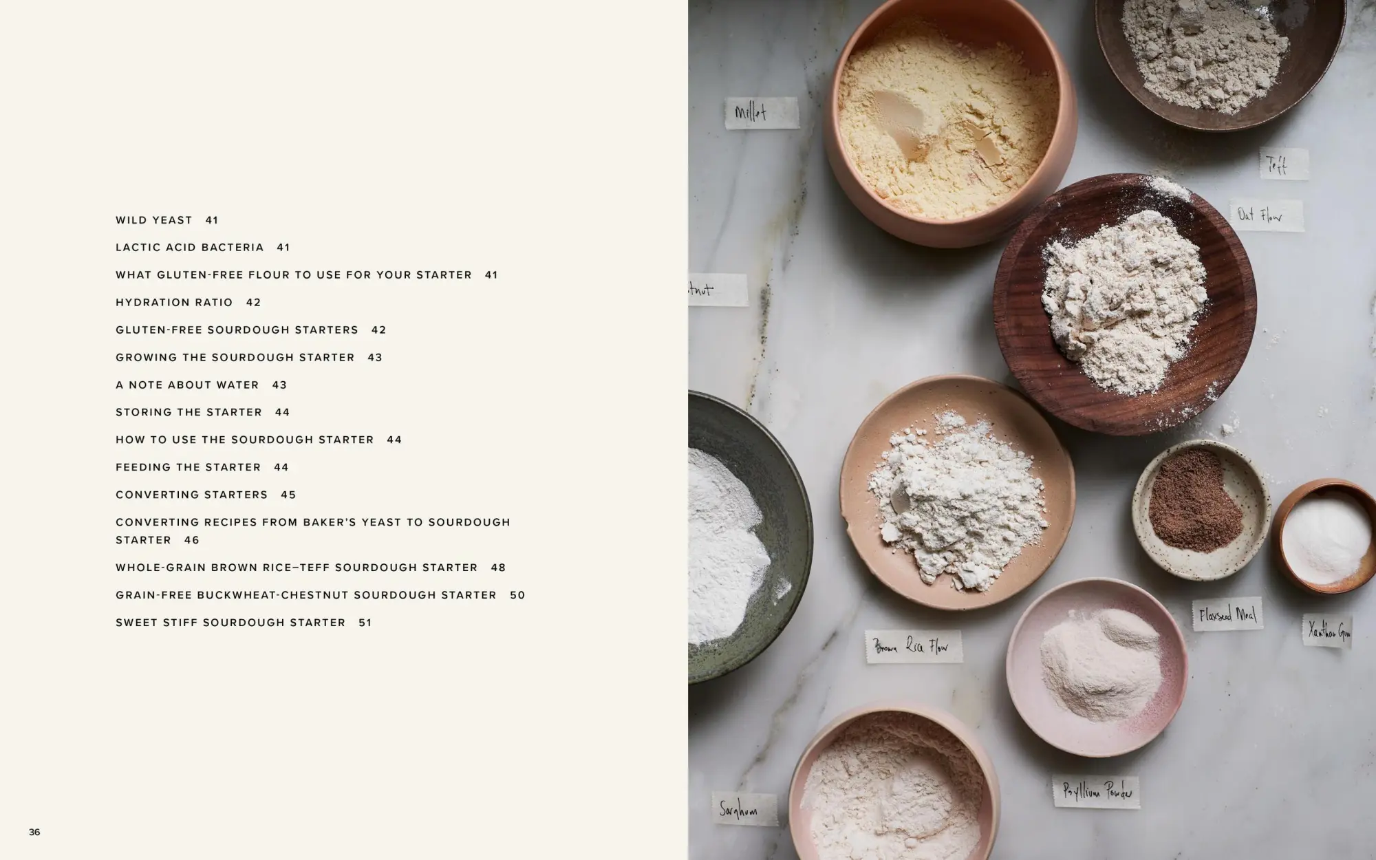 Bild: 9781648292026 | The Art of Gluten-Free Bread | Aran Goyoaga | Buch | Englisch | 2025