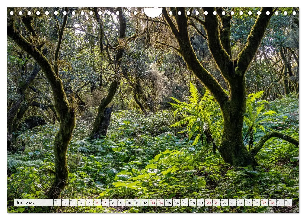 Bild: 9783457542026 | Kanarische Inseln - El Hierro (Wandkalender 2026 DIN A4 quer),...