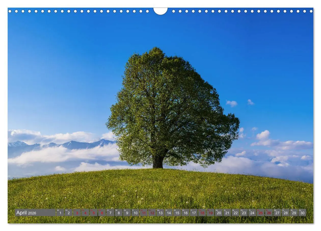 Bild: 9783457852026 | Schöne Wanderungen um Oberstdorf (Wandkalender 2026 DIN A3 quer),...