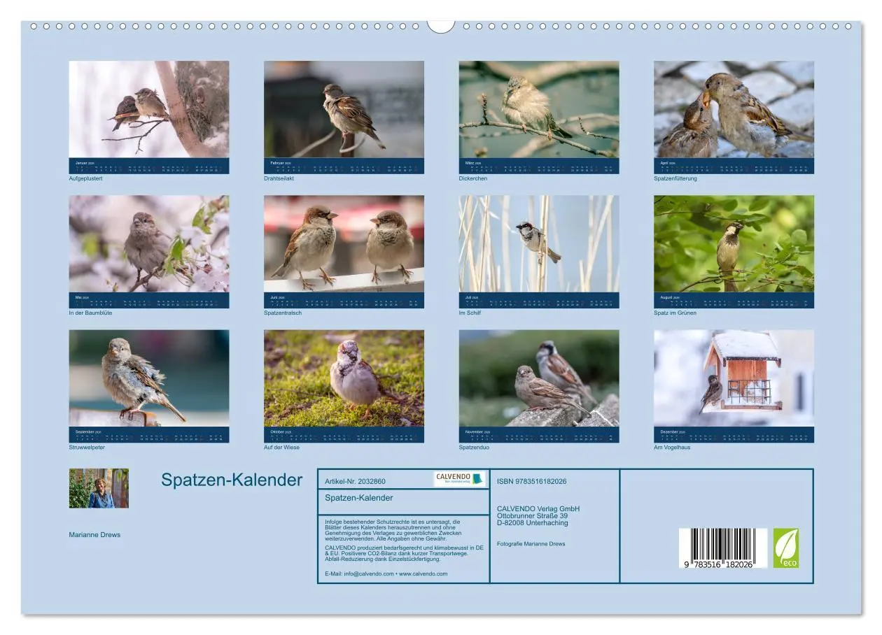 Bild: 9783516182026 | Spatzen-Kalender (hochwertiger Premium Wandkalender 2026 DIN A2...