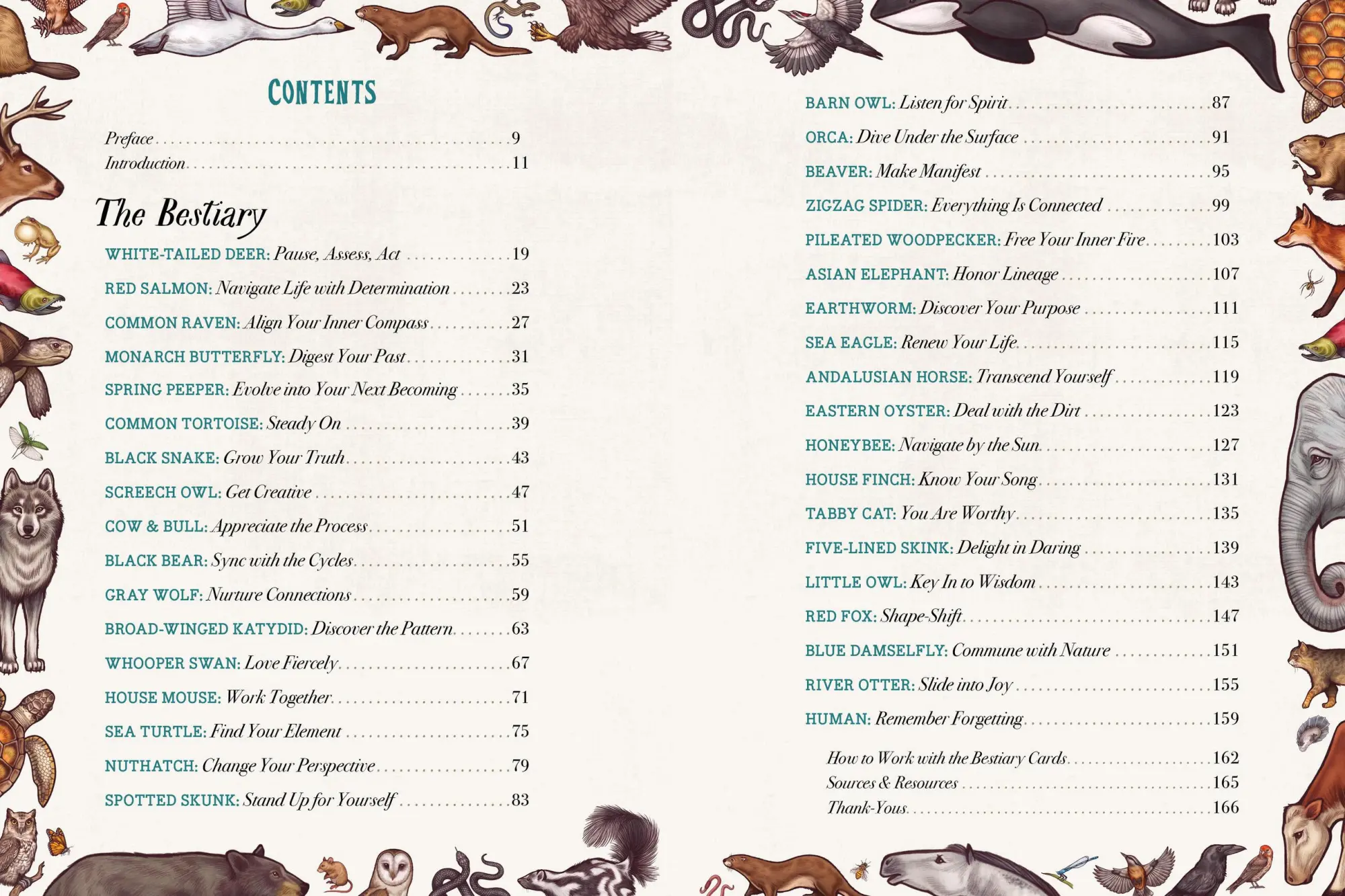 Bild: 9781635862126 | The Illustrated Bestiary | Maia Toll | Buch | Wild Wisdom | Gebunden