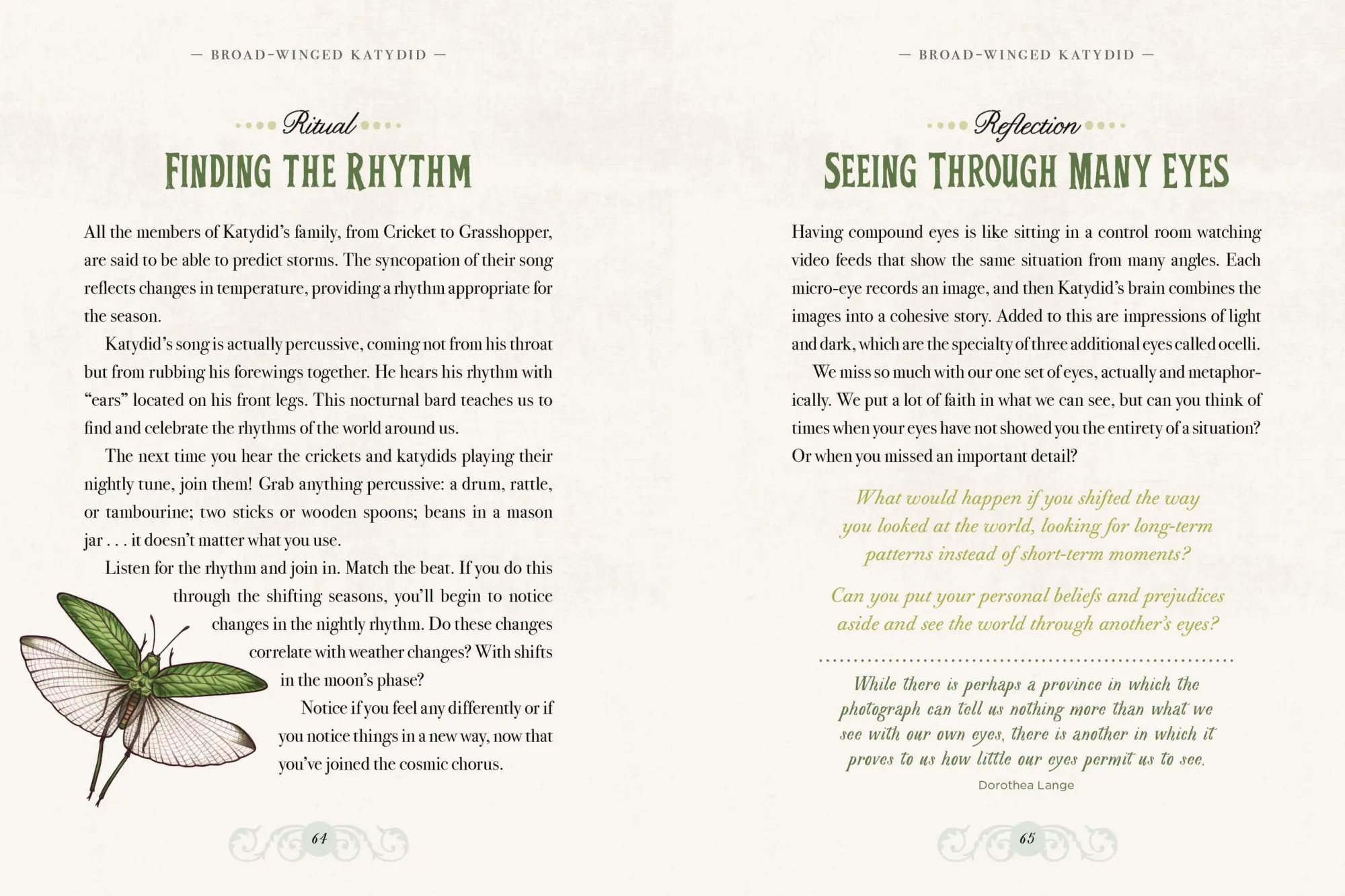 Bild: 9781635862126 | The Illustrated Bestiary | Maia Toll | Buch | Wild Wisdom | Gebunden