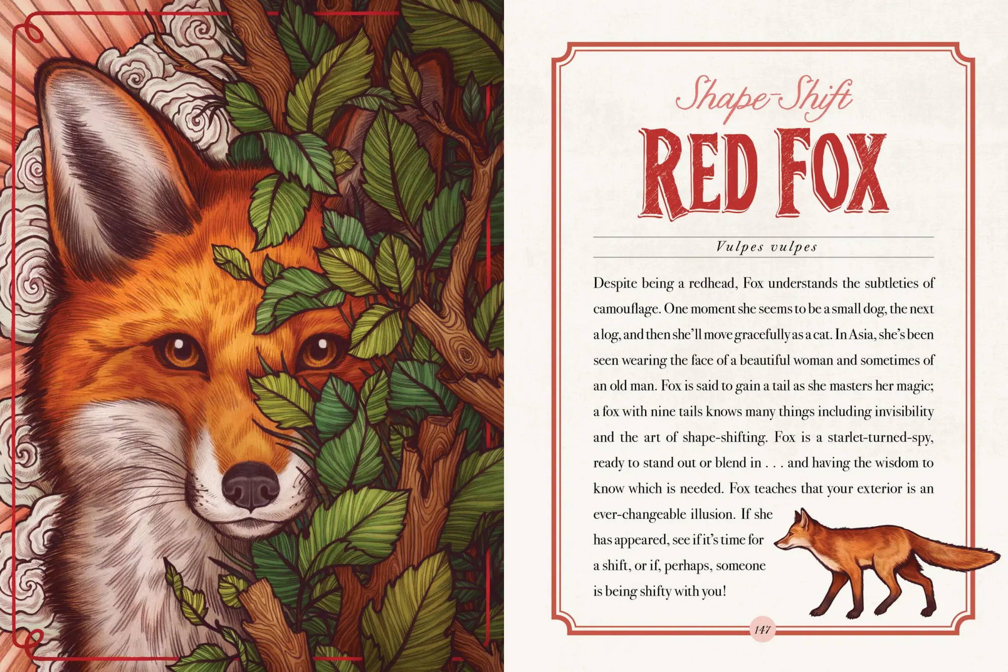 Bild: 9781635862126 | The Illustrated Bestiary | Maia Toll | Buch | Wild Wisdom | Gebunden