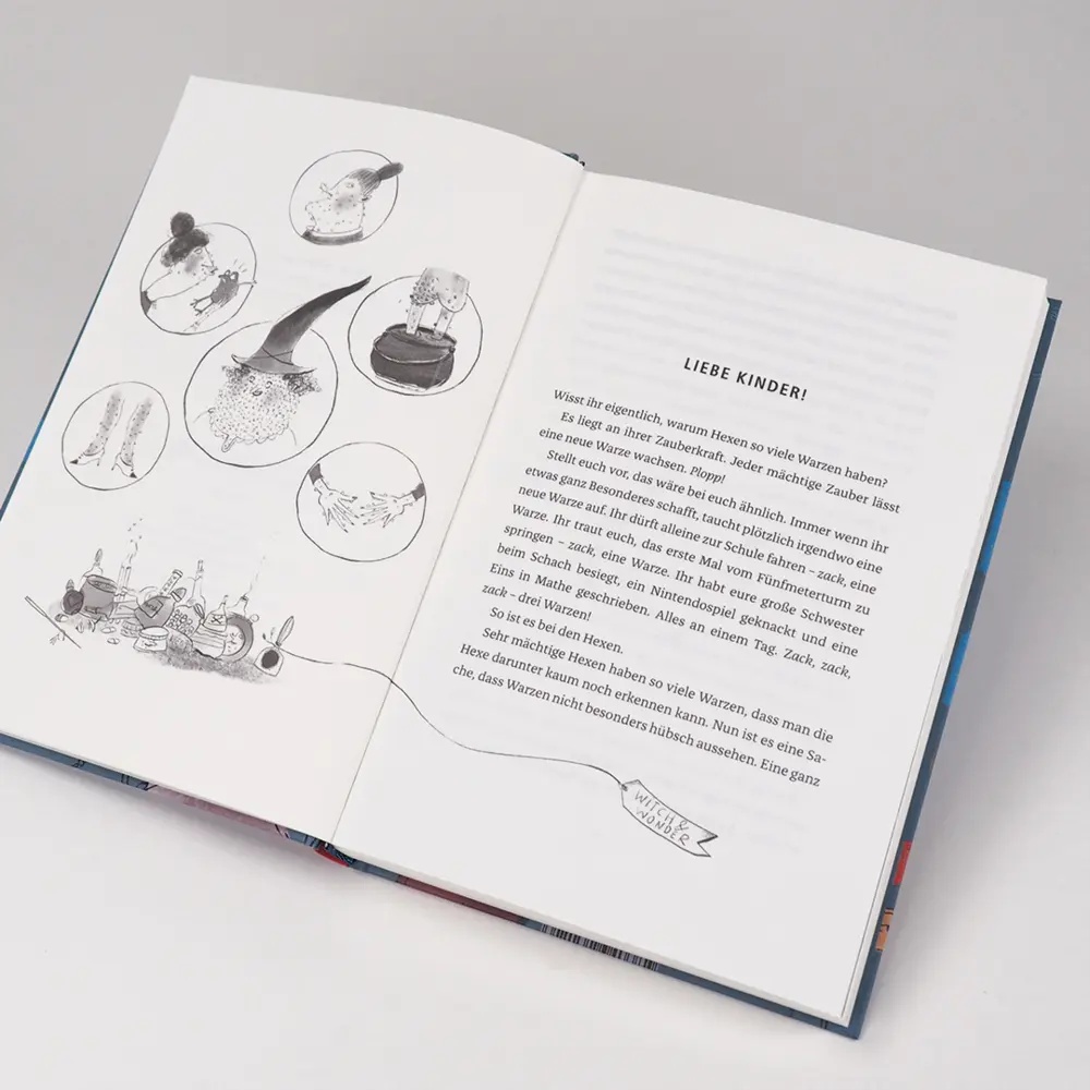 Bild: 9783446262126 | Luca und Ludmilla | Sybille Hein | Buch | 180 S. | Deutsch | 2019