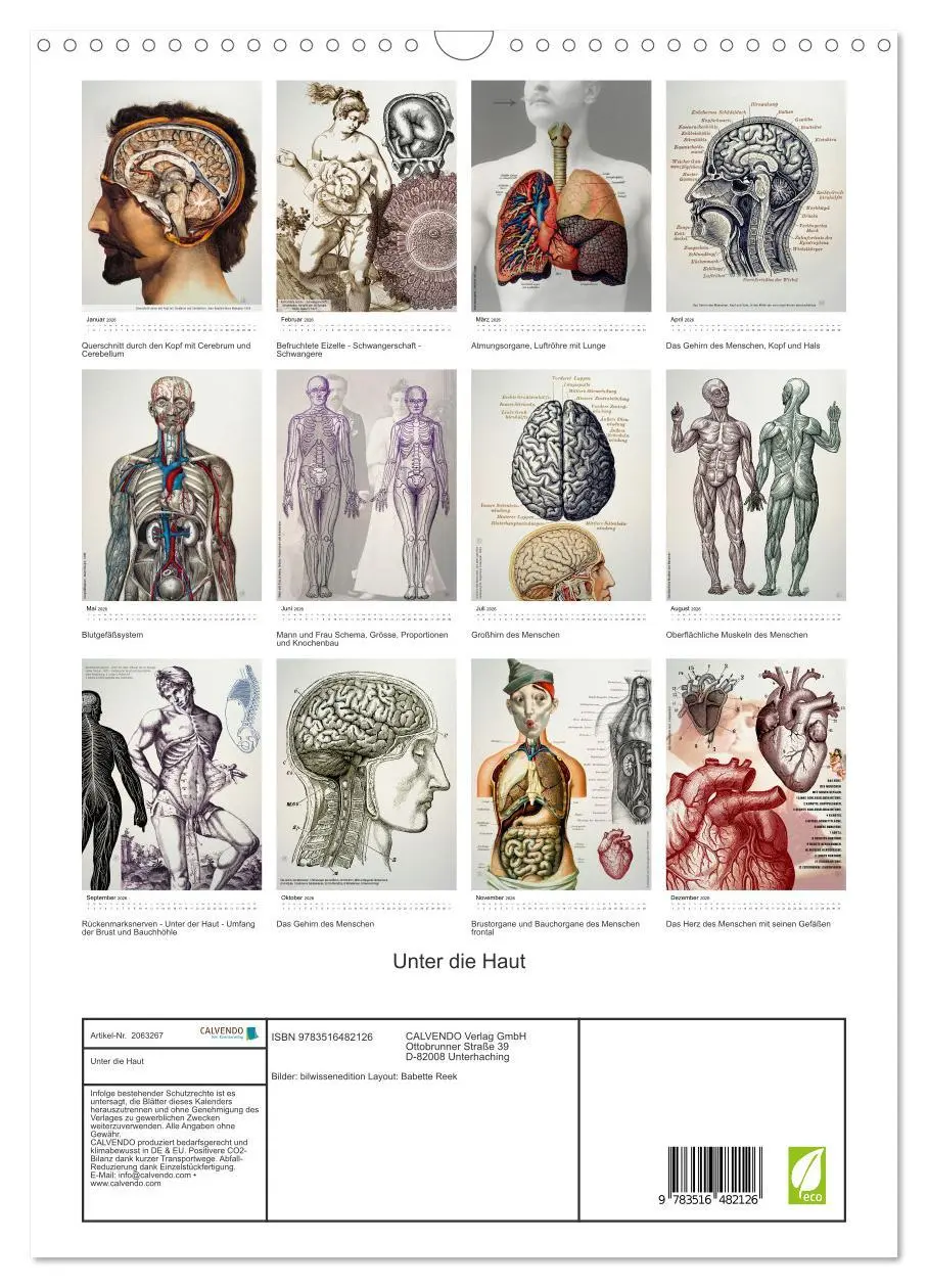 Bild: 9783516482126 | Unter die Haut (Wandkalender 2026 DIN A3 hoch), CALVENDO...