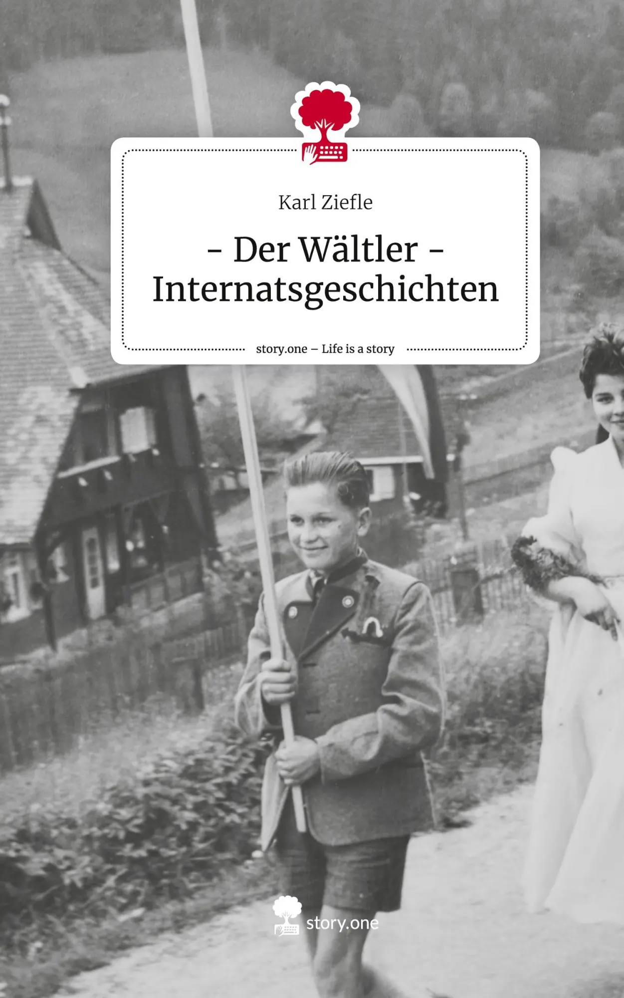 Cover: 9783711582126 | - Der Wältler - Internatsgeschichten. Life is a Story - story.one