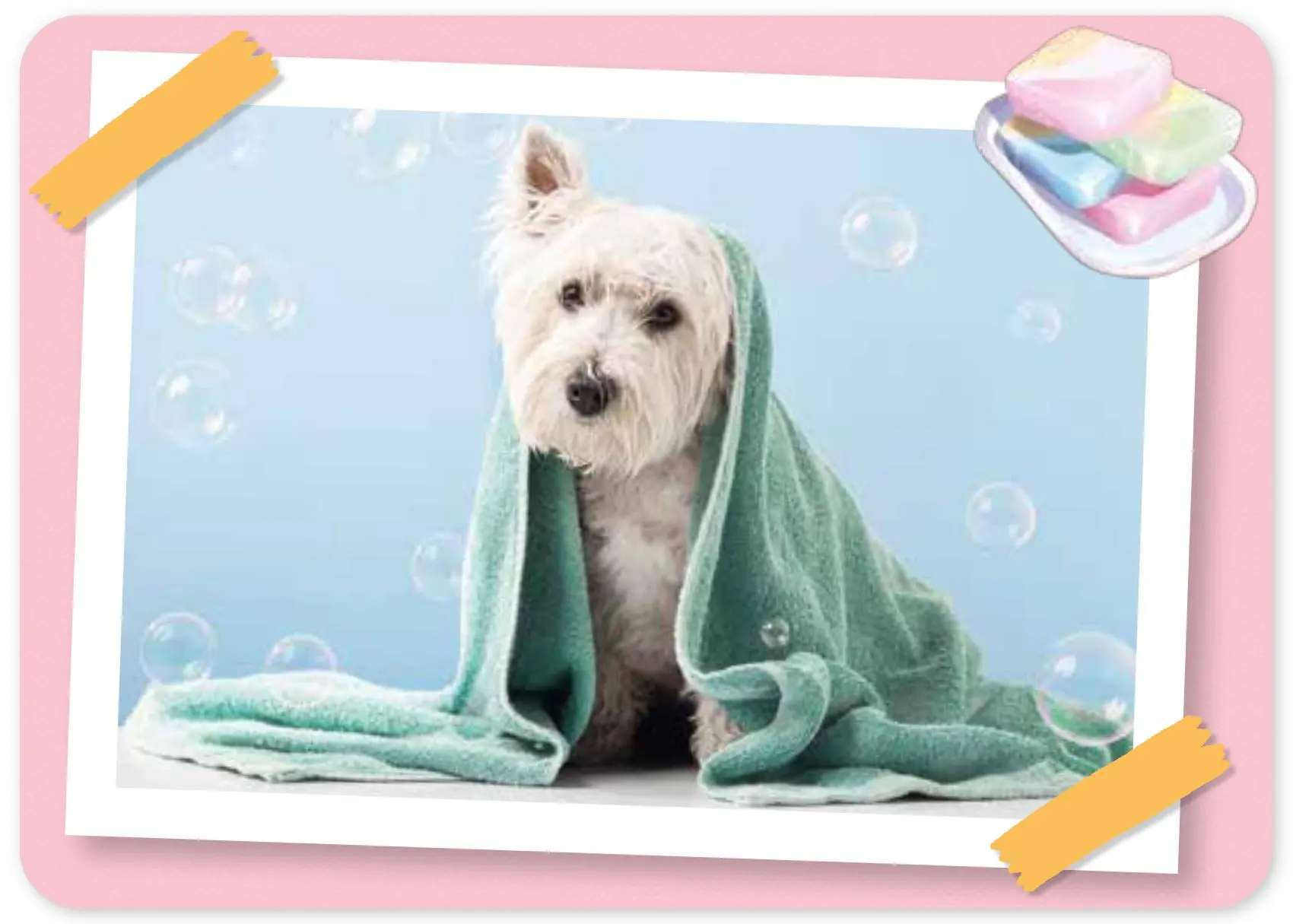 Bild: 4280000572226 | Das kann ich schon - Gegensätze erkennen | 40 Bildkarten für die Kita