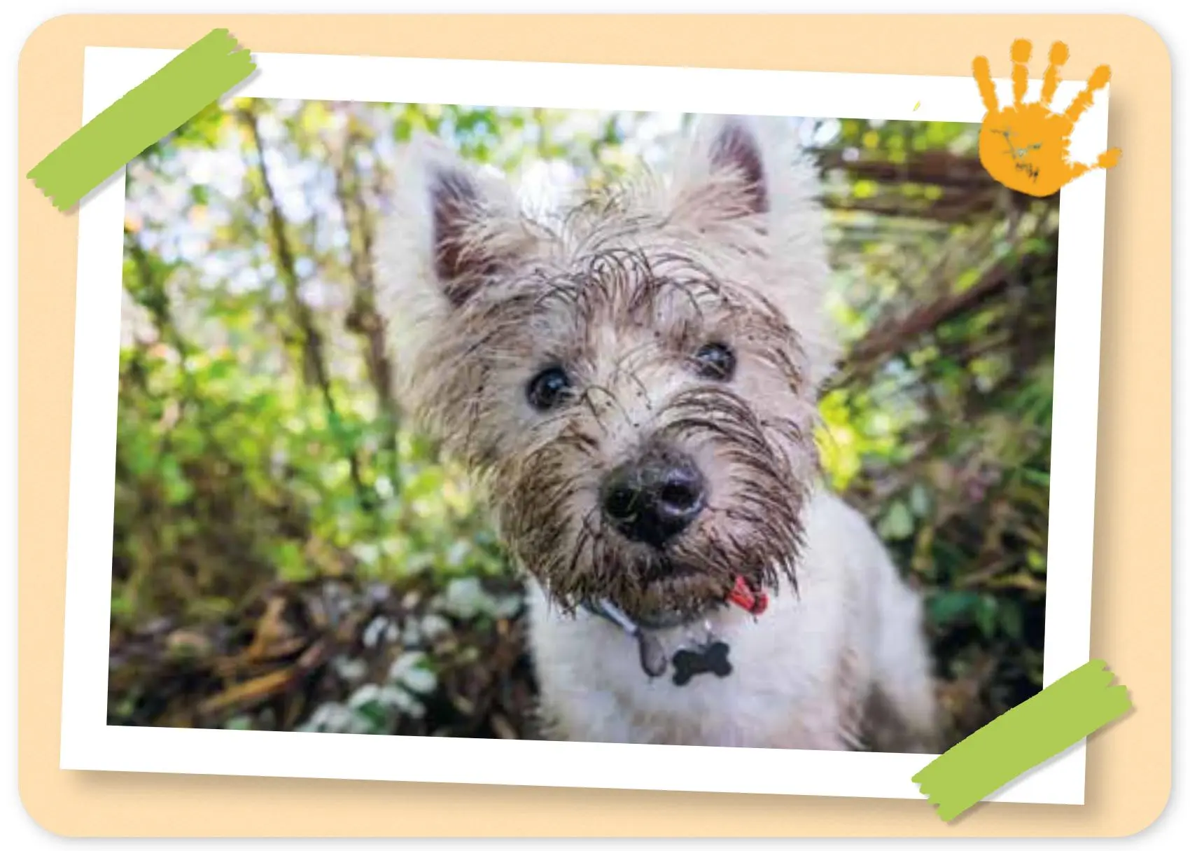 Bild: 4280000572226 | Das kann ich schon - Gegensätze erkennen | 40 Bildkarten für die Kita