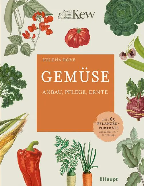 Cover: 9783258082226 | Gemüse | Hélèna Dove | Buch | 144 S. | Deutsch | 2021