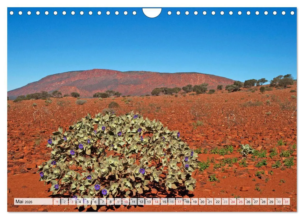 Bild: 9783516162226 | Australien - Faszination Outback (Wandkalender 2026 DIN A4 quer),...