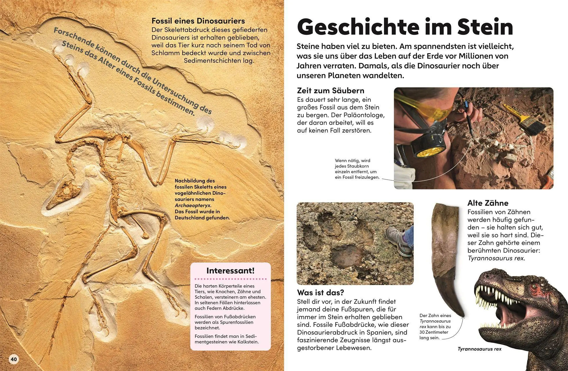 Bild: 9783831052226 | memo Wissen Kids. Steine und Mineralien | DK Verlag - Kids | Buch