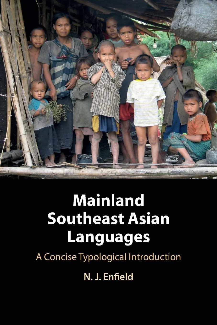 Cover: 9780521152426 | Mainland Southeast Asian Languages | N. J. Enfield | Taschenbuch