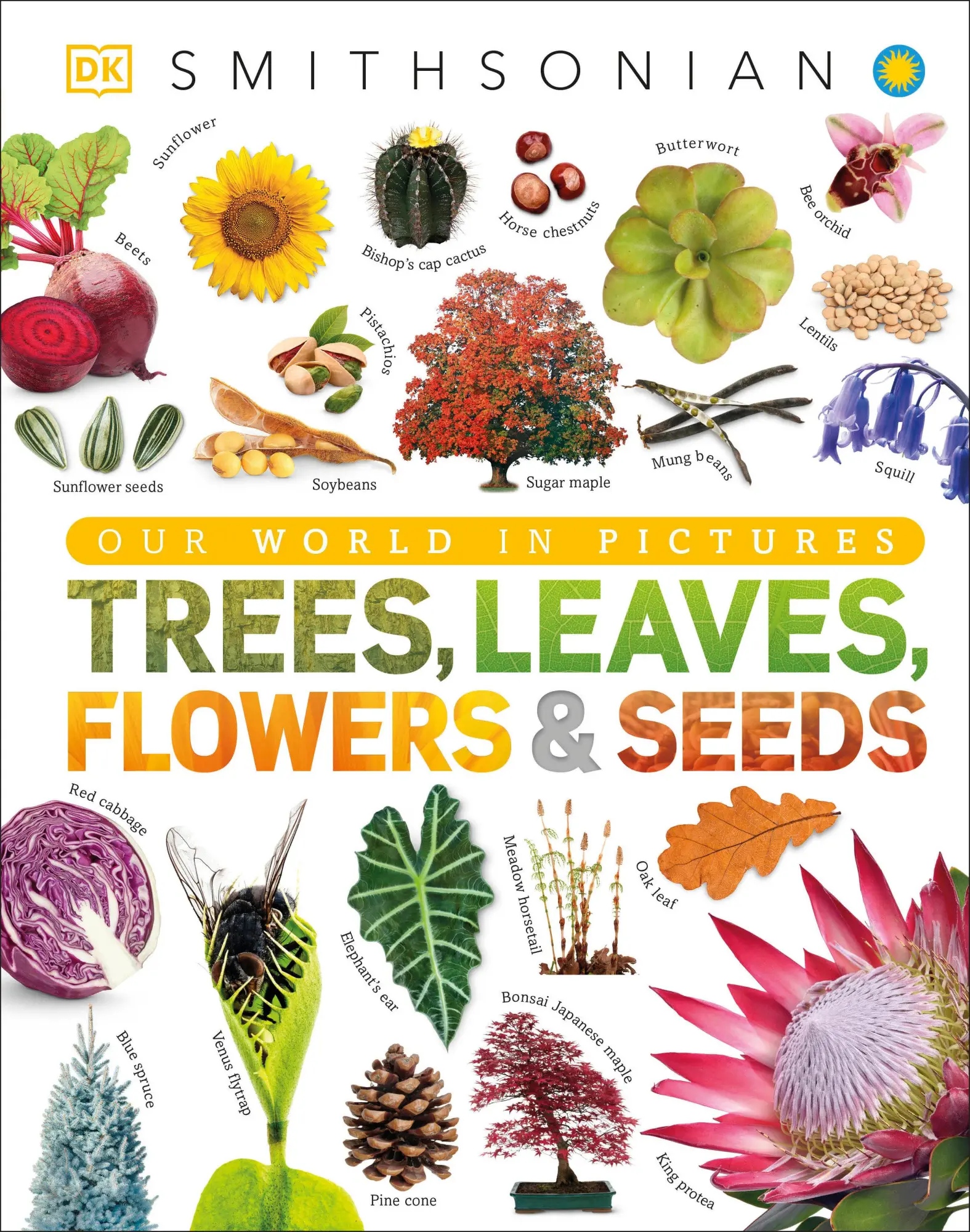 Cover: 9781465482426 | Trees, Leaves, Flowers and Seeds | Dk | Buch | Englisch | 2019