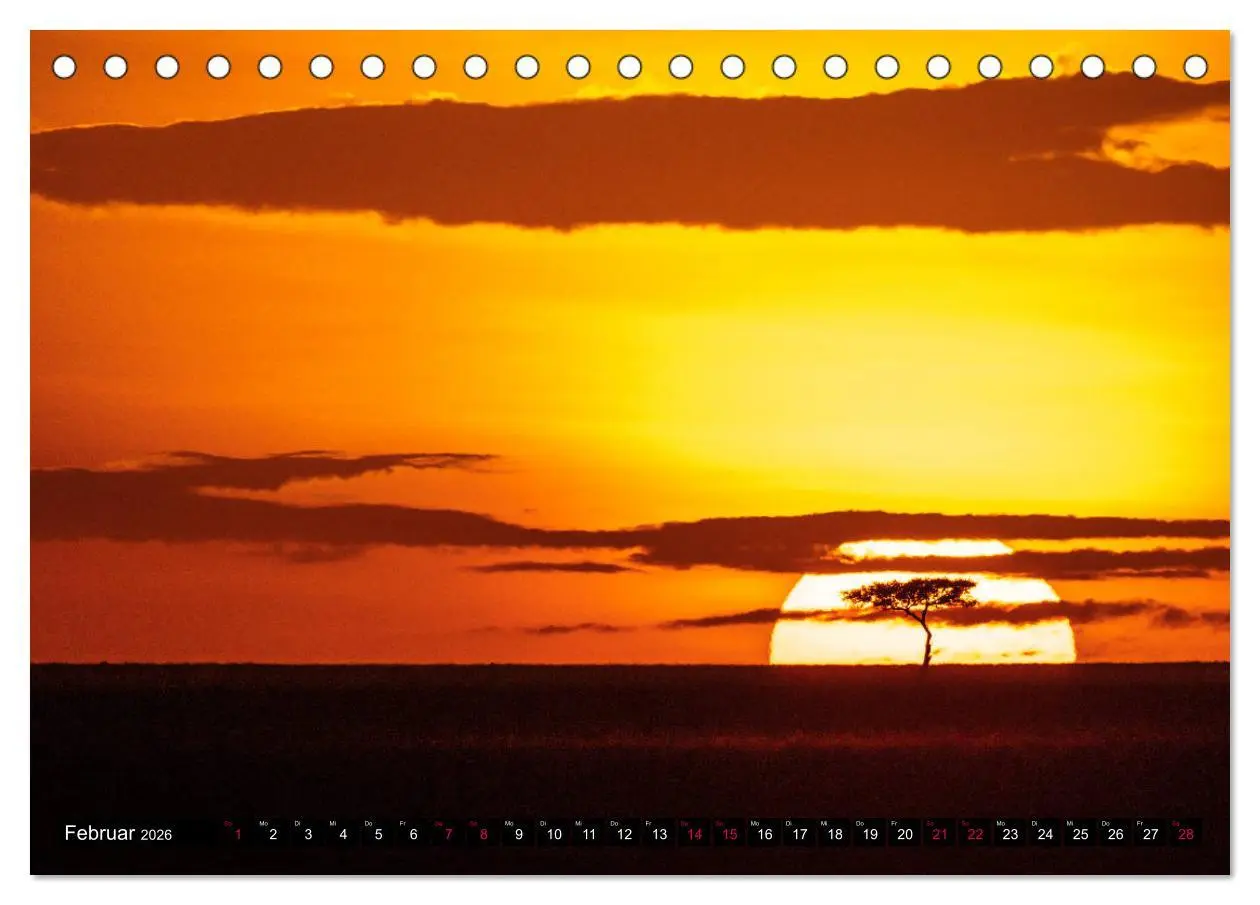 Bild: 9783457812426 | Safari Afrika (Tischkalender 2026 DIN A5 quer), CALVENDO...