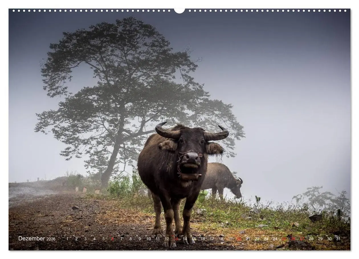 Bild: 9783457982426 | Vietnam und Kambodscha - Magische Momente. (Wandkalender 2026 DIN...