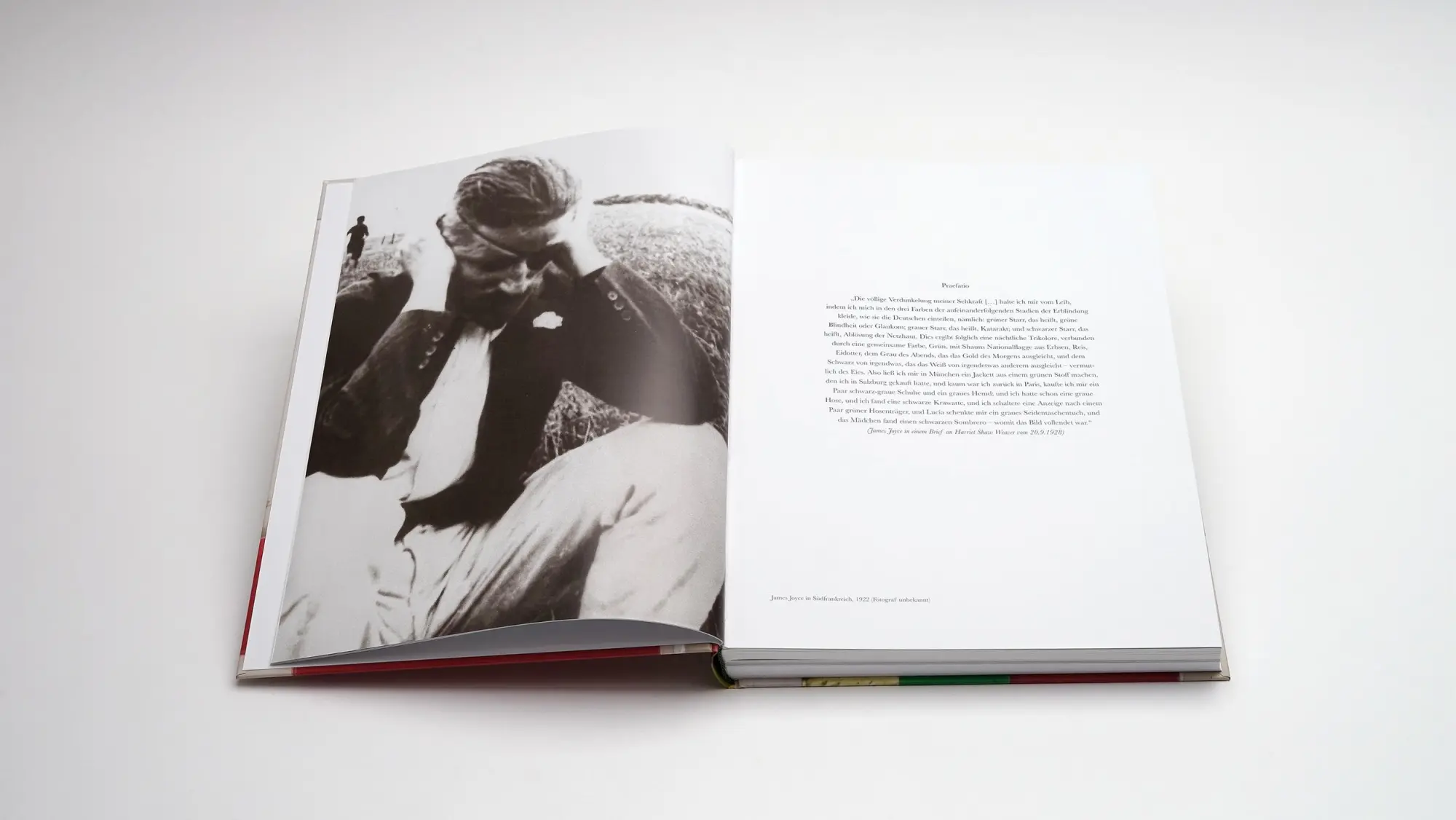 Bild: 9783969122426 | Werner Schmidt - James Joyce und die Farben des Ulysses | Buch | 2025