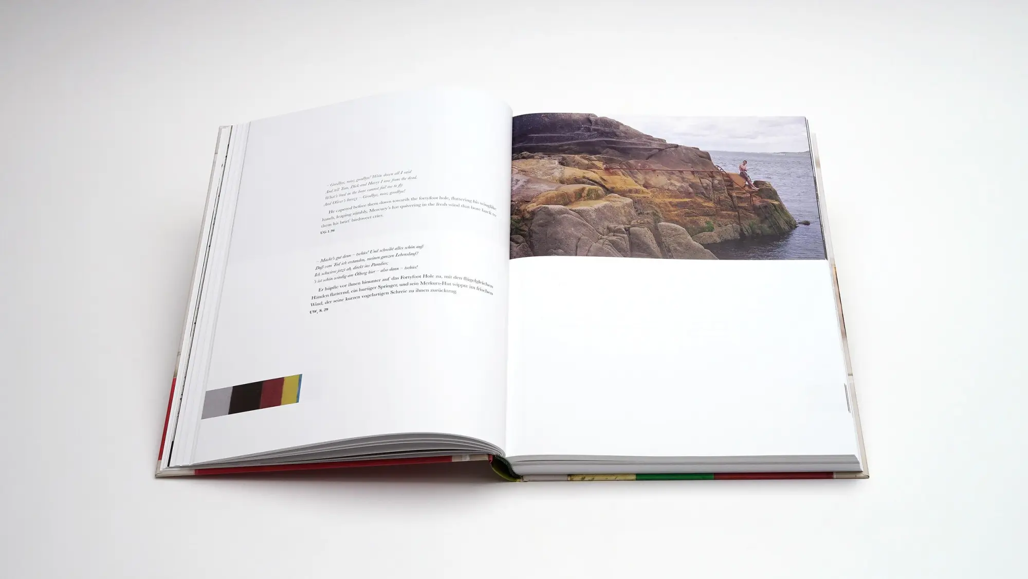 Bild: 9783969122426 | Werner Schmidt - James Joyce und die Farben des Ulysses | Buch | 2025