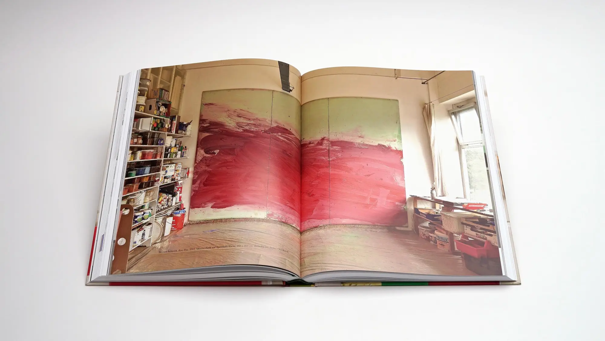 Bild: 9783969122426 | Werner Schmidt - James Joyce und die Farben des Ulysses | Buch | 2025