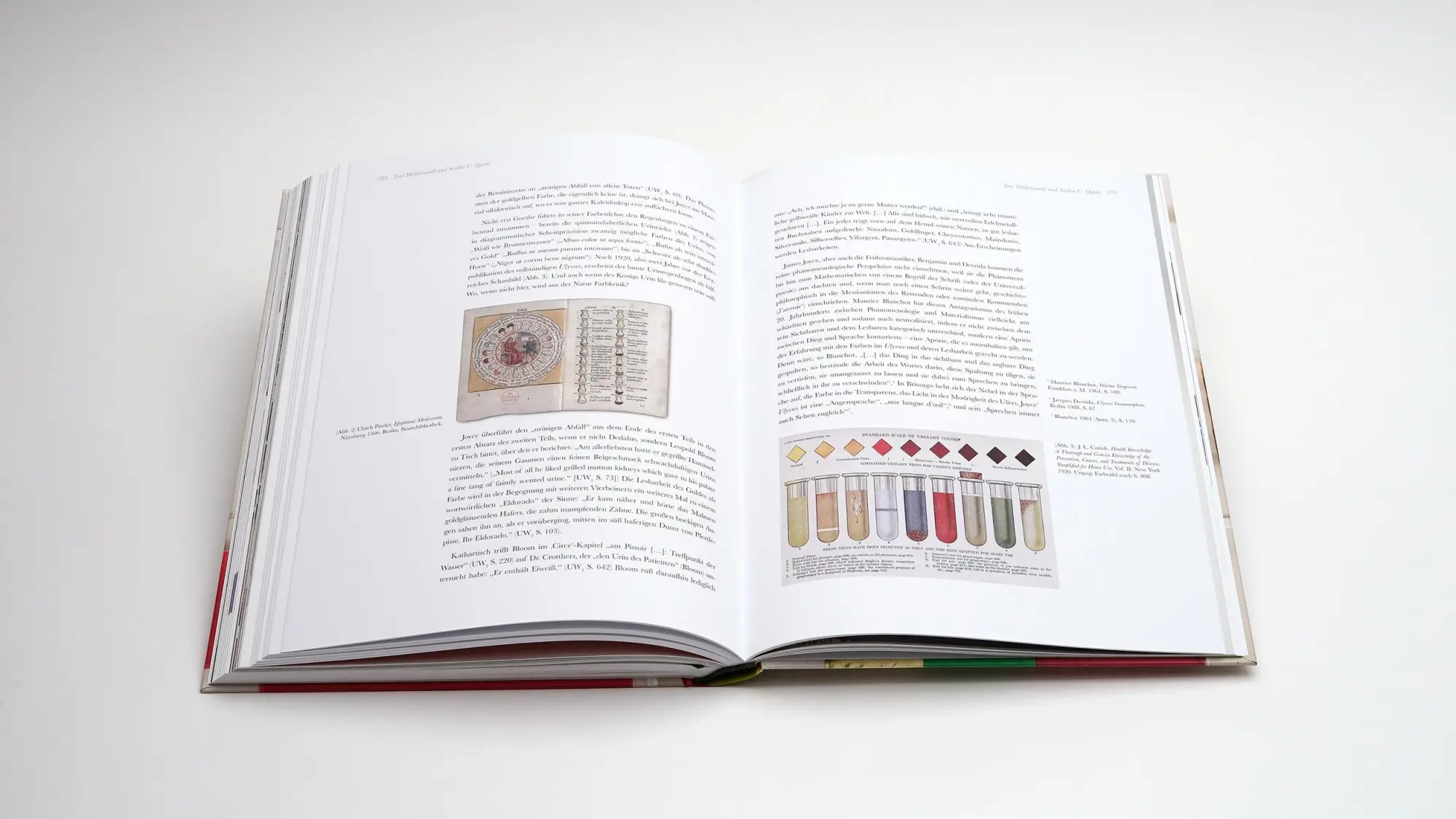 Bild: 9783969122426 | Werner Schmidt - James Joyce und die Farben des Ulysses | Buch | 2025